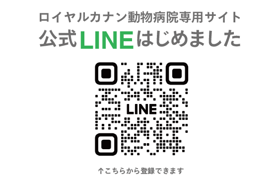 公式LINE始めました
